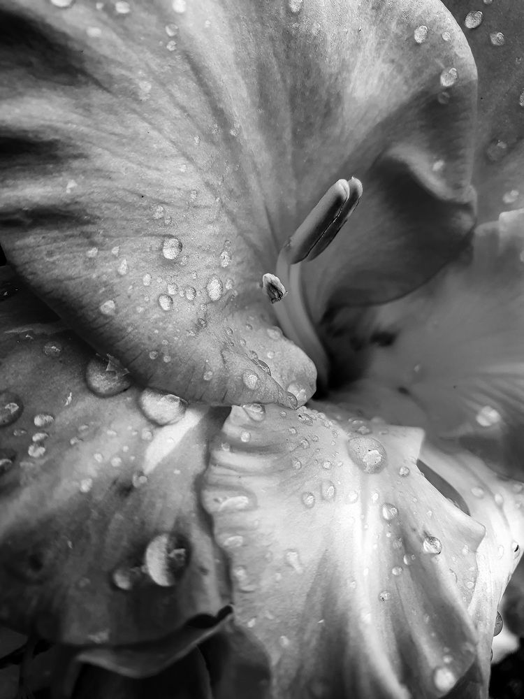 Photograph by Анна Данилина