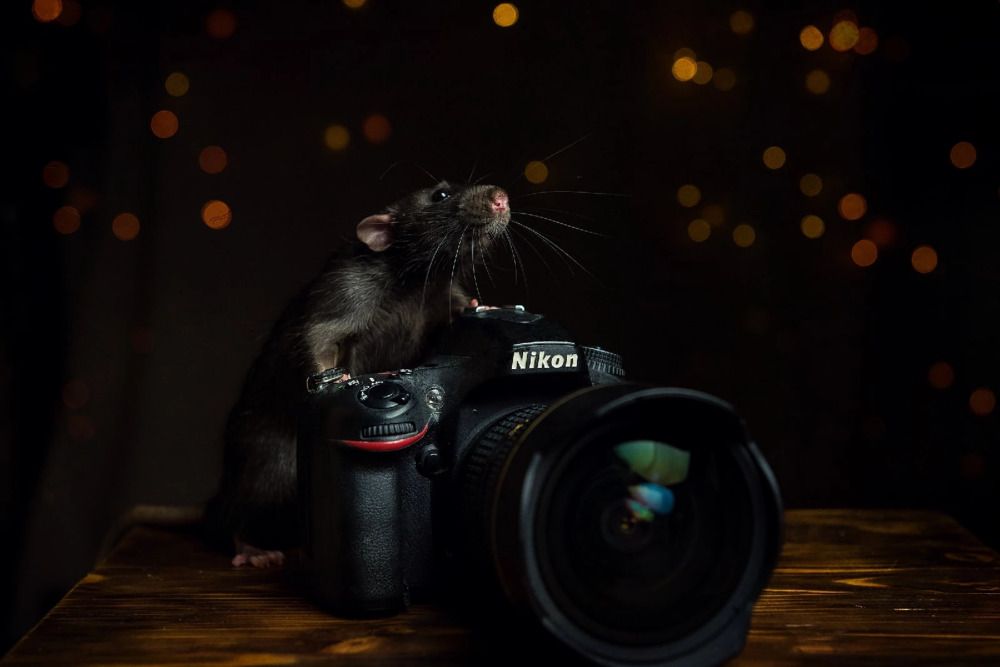 Photograph by Оксана Куприянова