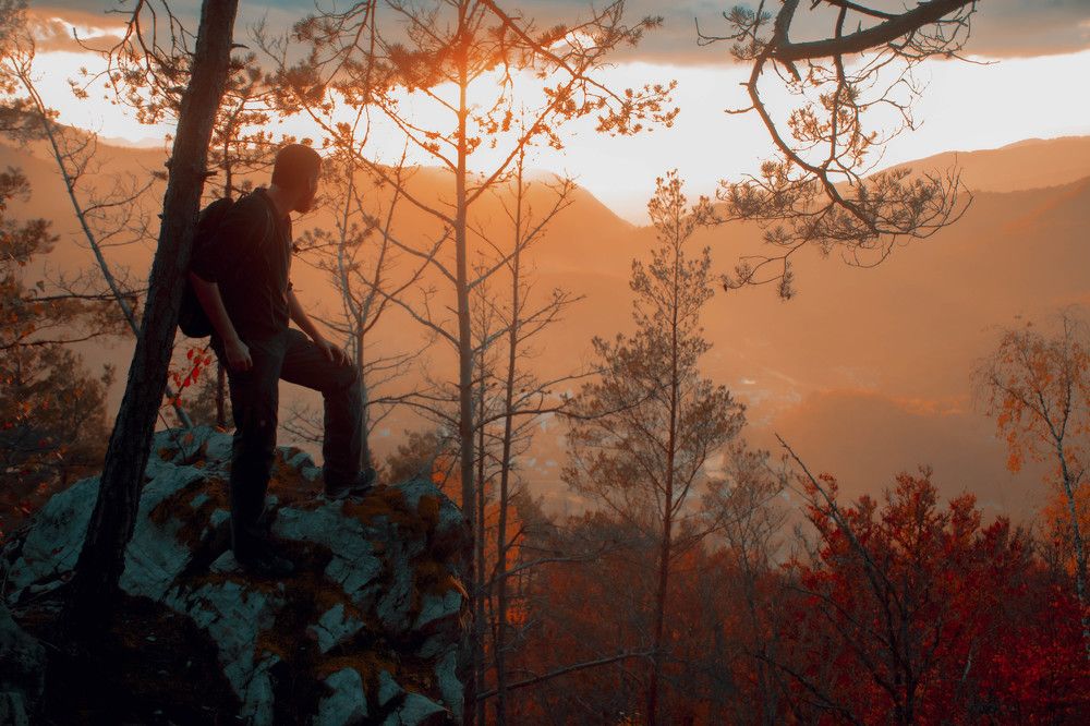 Photograph by Plesa Ioan Dan