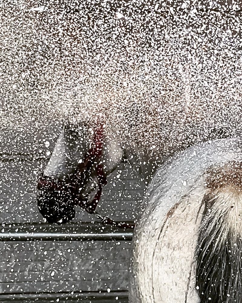 Photograph by Alena Rrylov