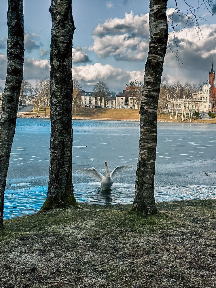 Photograph by Alena Rrylov