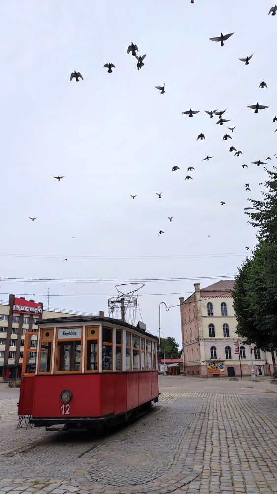 Photograph by Марийона Савоненко