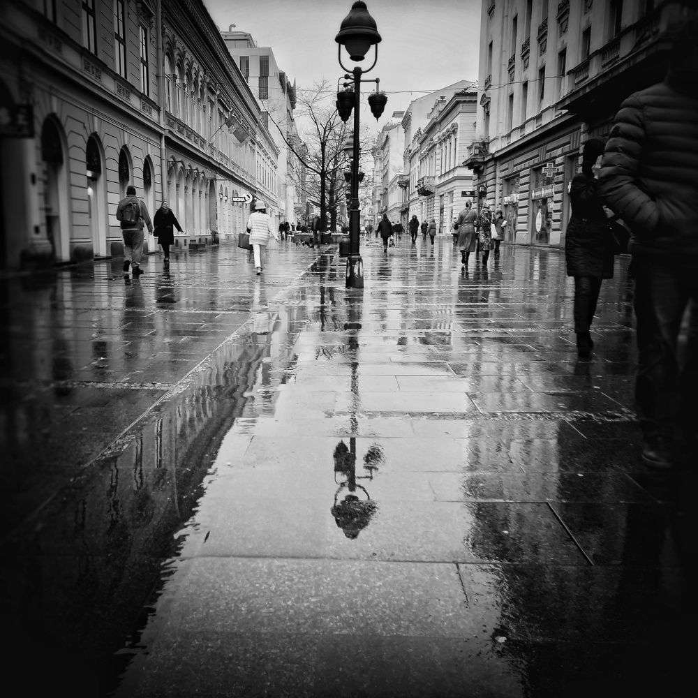 Photograph by Miroljub Vladić