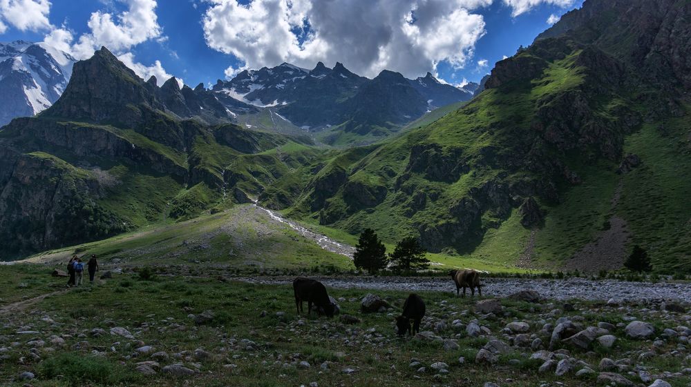 Photograph by Виталий Павлов