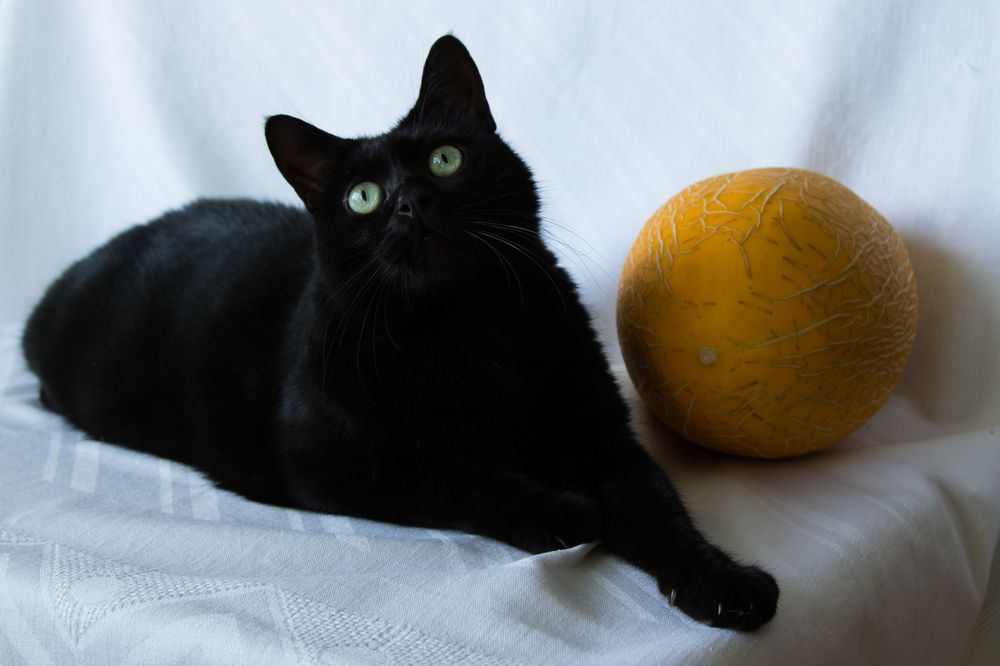 Зря стараешься!