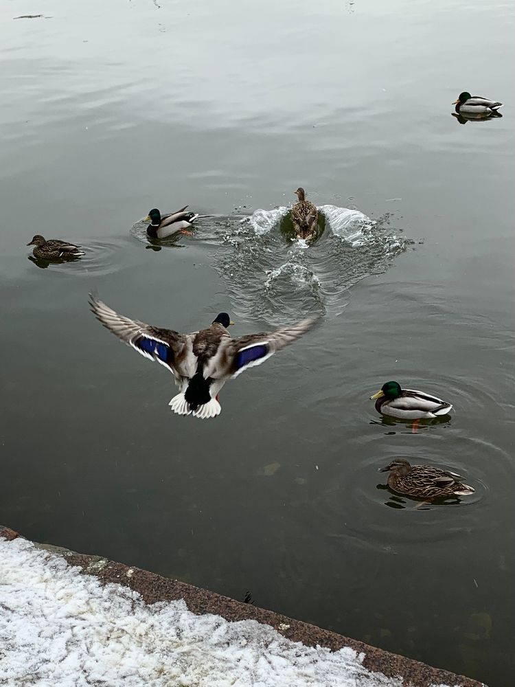 Photograph by Елена Макуха