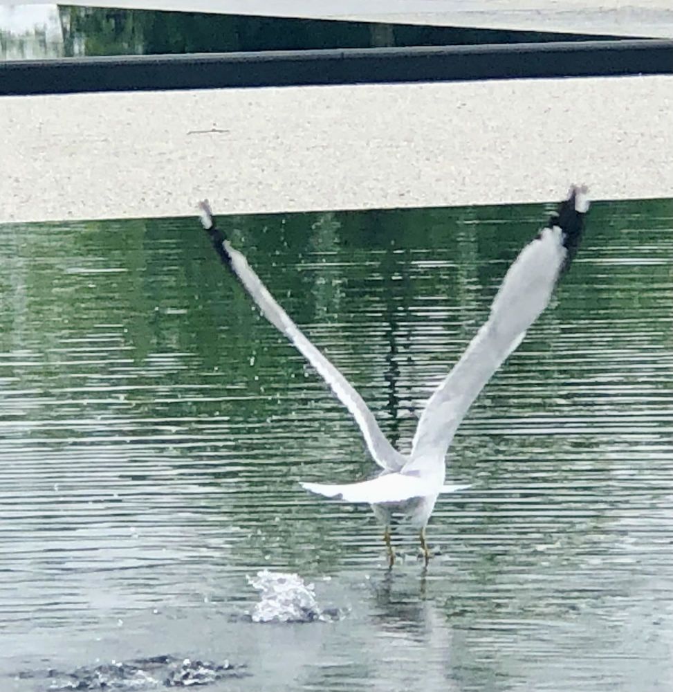 Photograph by Zeni Shariff