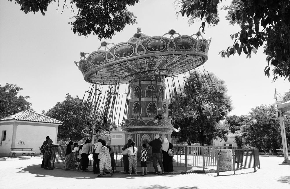 Photograph by Anous abadi