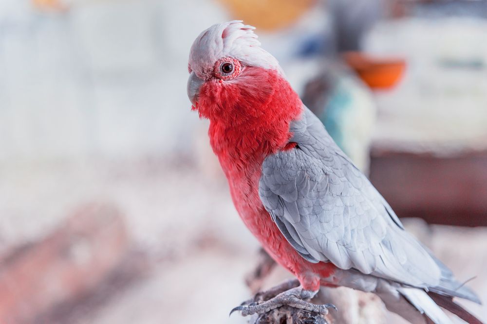 Photograph by KRITER AHMED