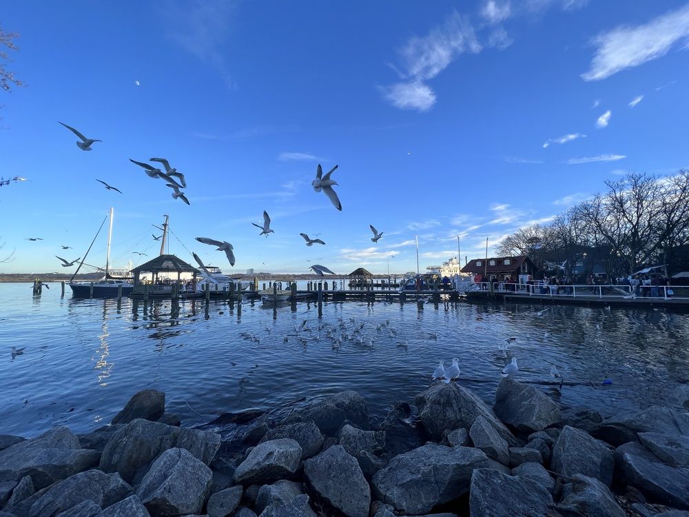 Photograph by Can O. Gunay