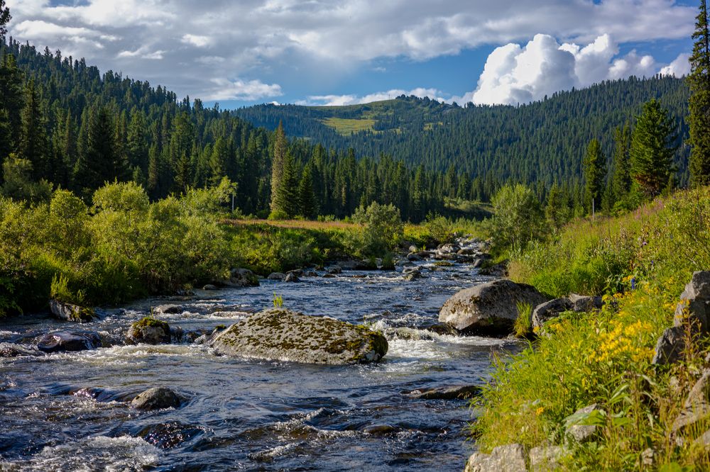 Photograph by Князев Сергей