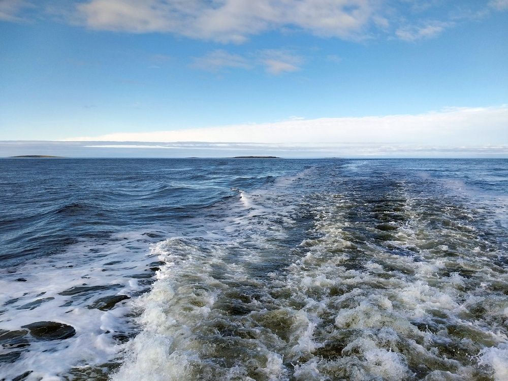 Photograph by Olga Bagaeva