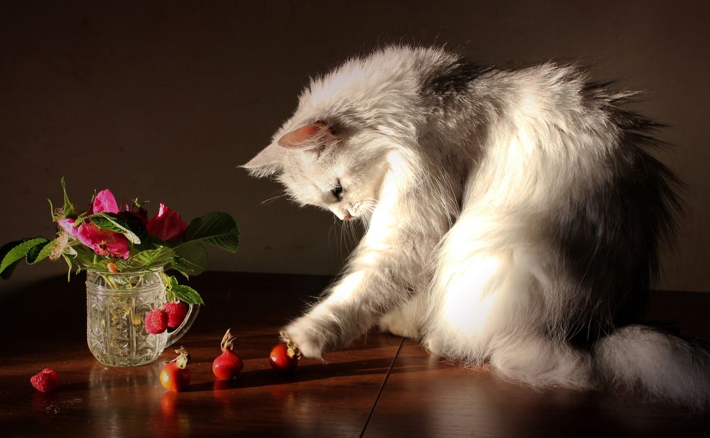 Photograph by Зоя Быкова