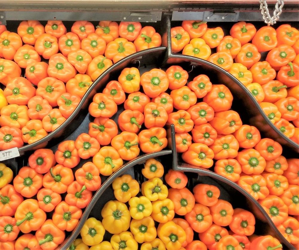 Photograph by José Luis Mendoza Machado