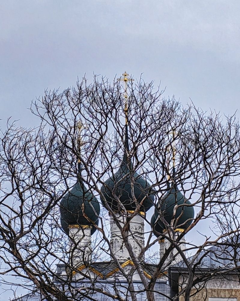 Photograph by Ольга Третьякова