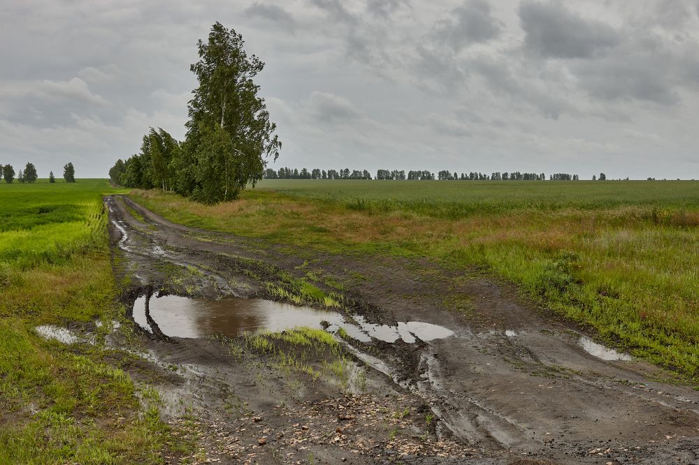 Фотография автора Александр Еремин