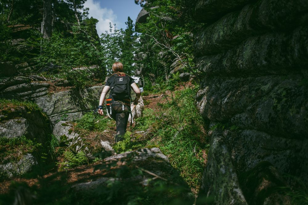 Photograph by Алина Перескокова