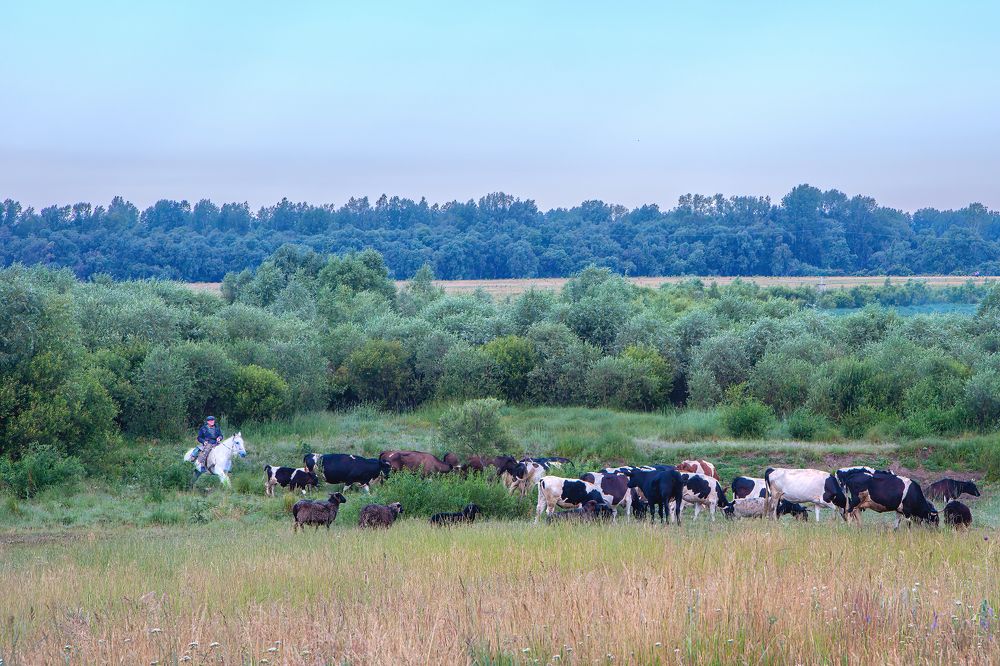 Photograph by Юрий Спасенников