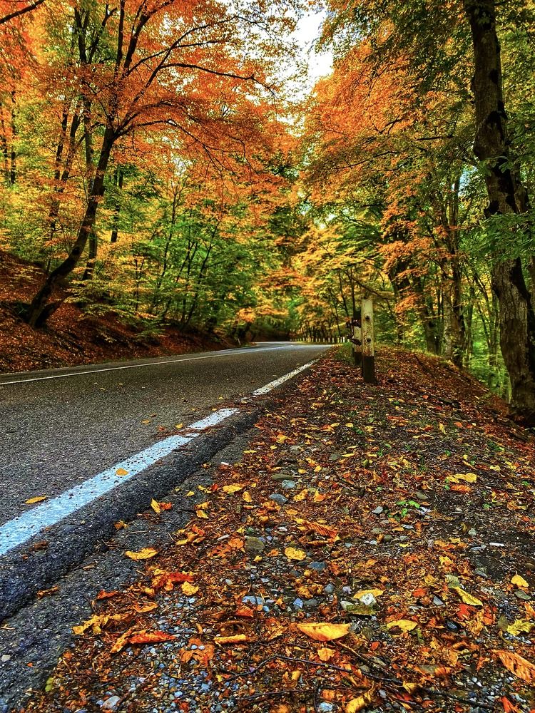 Photograph by Lasha Chkhaidze