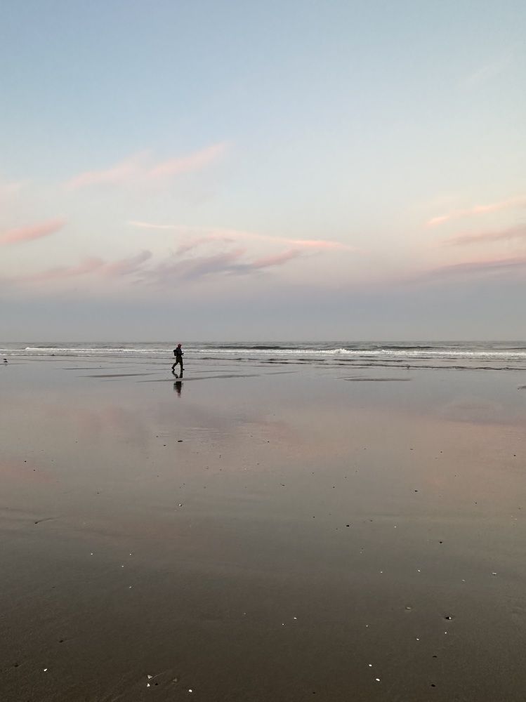 Photograph by Anna Vlasova