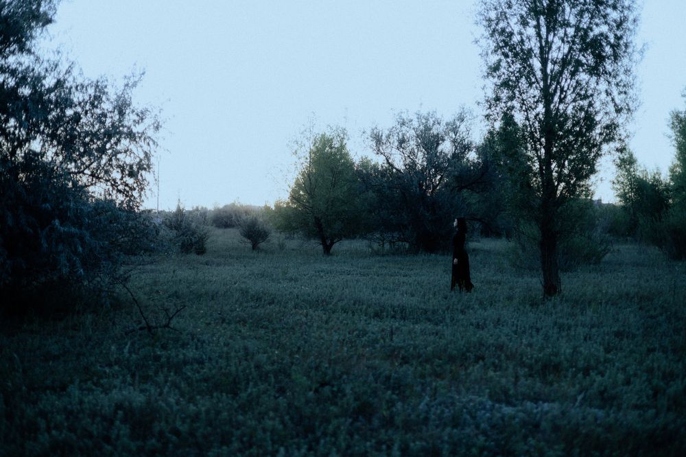 Photograph by Кристина Студеникина