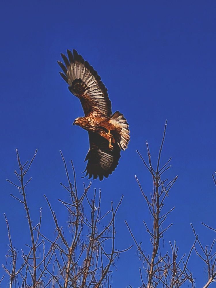 Photograph by Ольга Веселова