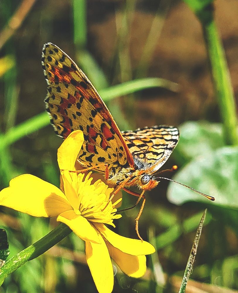Photograph by Ольга Веселова