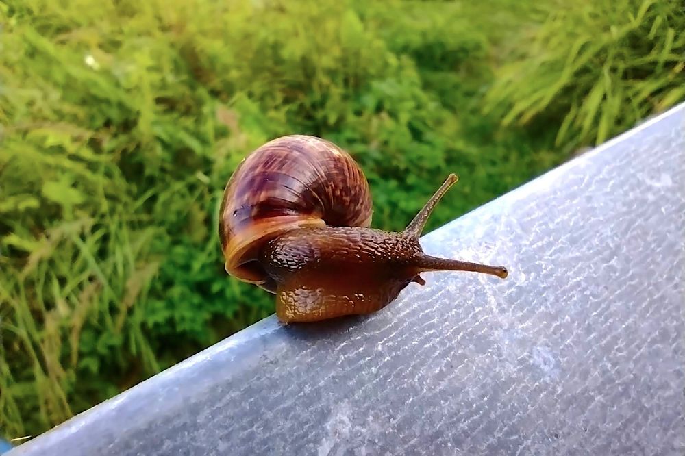 Photograph by Евгений Беленков