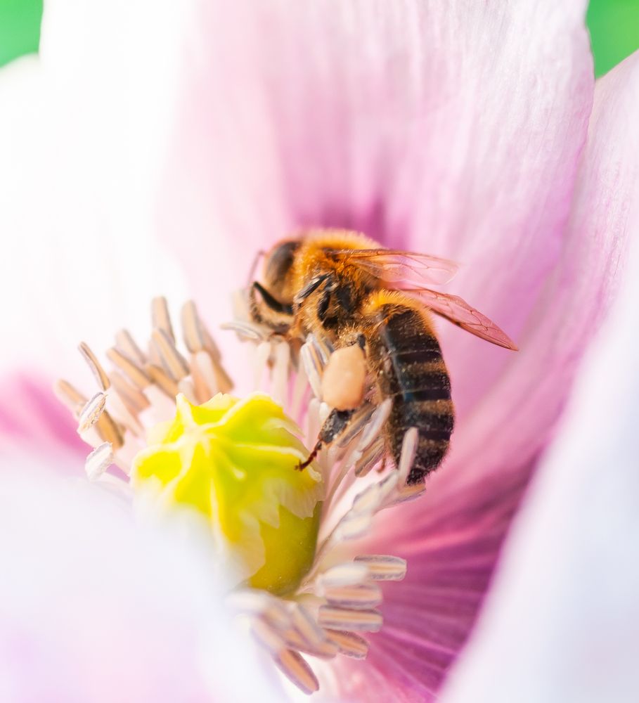 Фотография автора Олег Анатольевич Загорулько