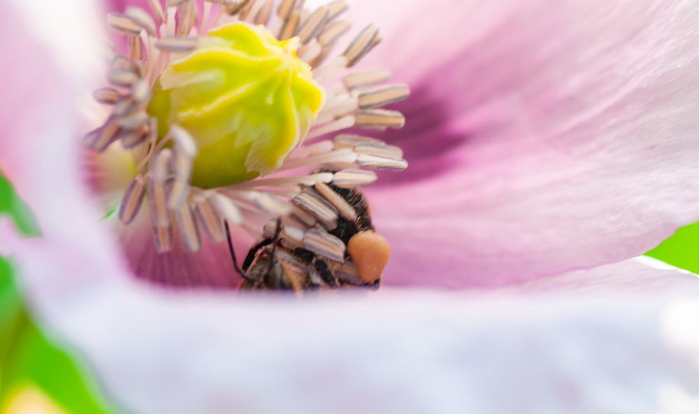 Фотография автора Олег Анатольевич Загорулько