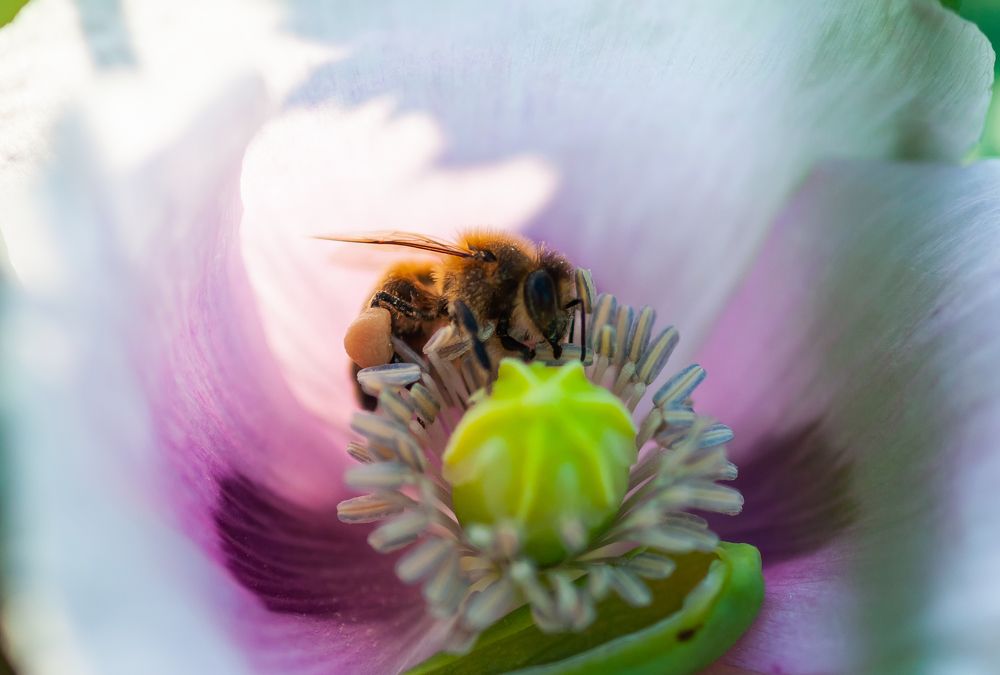 Фотография автора Олег Анатольевич Загорулько