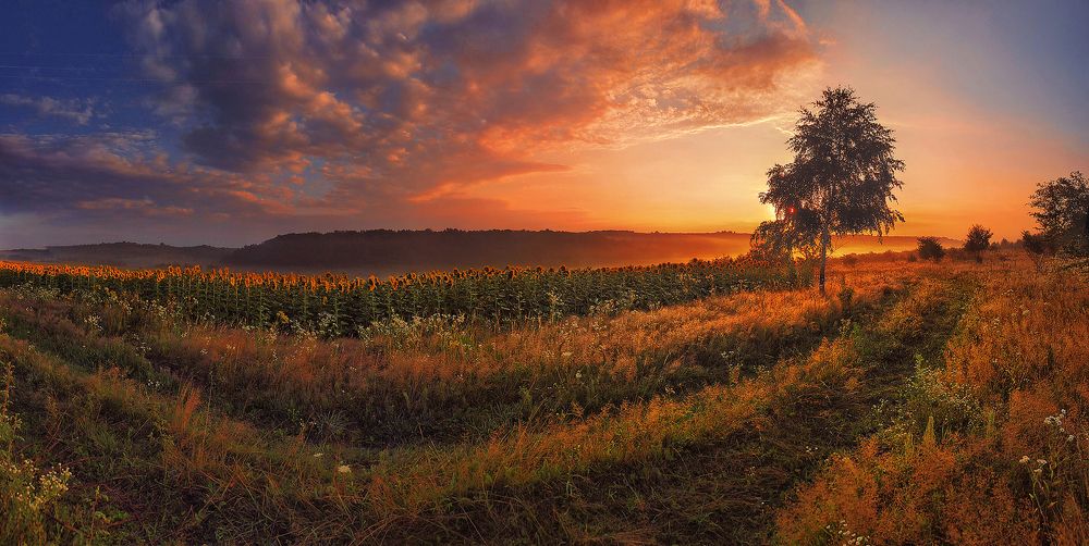 Photograph by Владимир