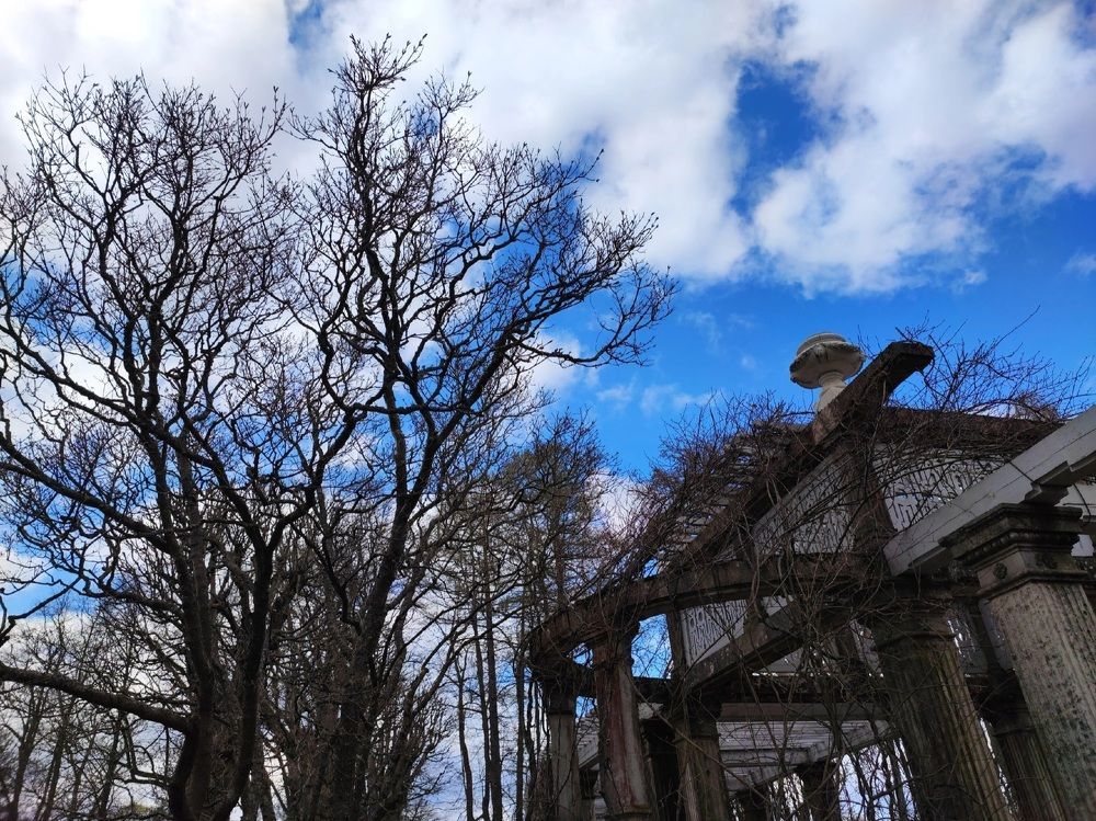 Photograph by Екатерина