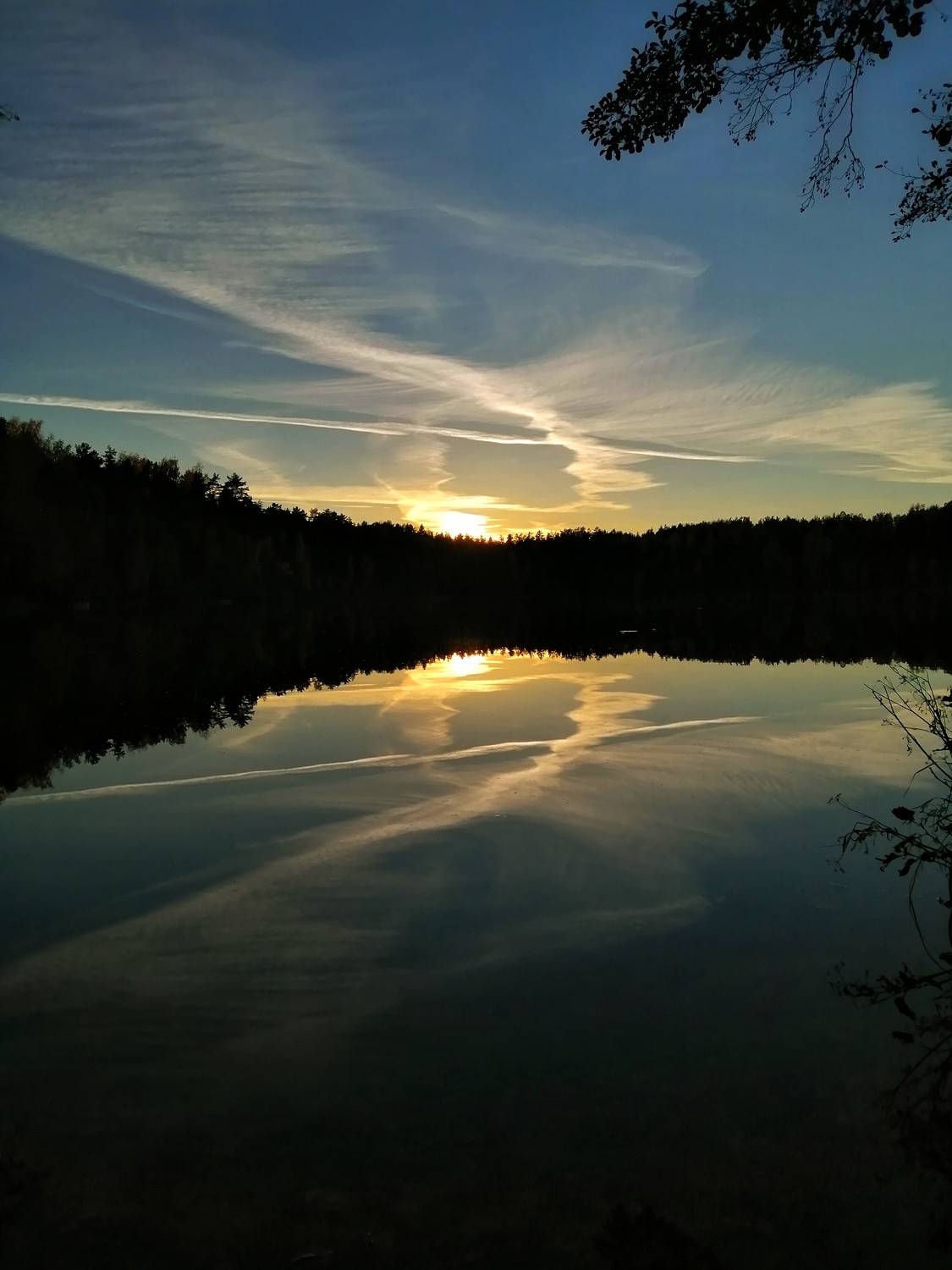 Photo #9410426