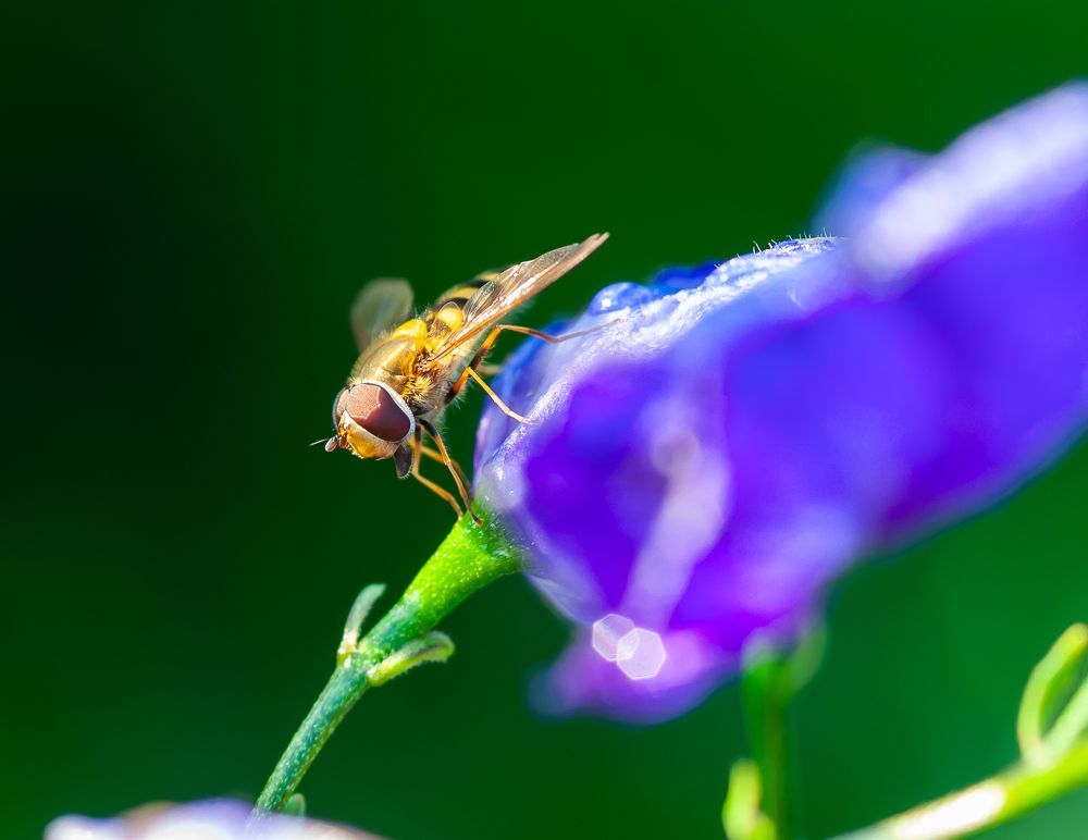 Фотография автора Олег Анатольевич Загорулько