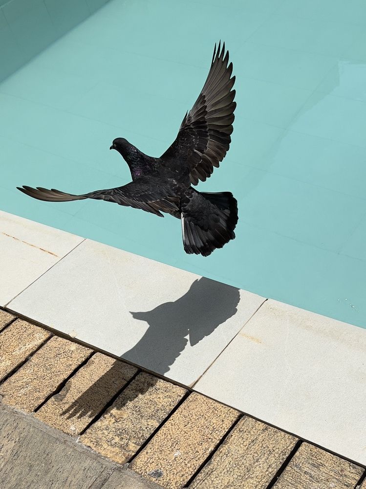 Photograph by Yohan Fernando