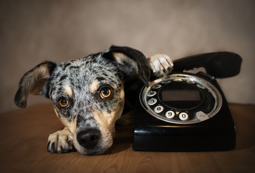 Photograph by leticia pascual garcia