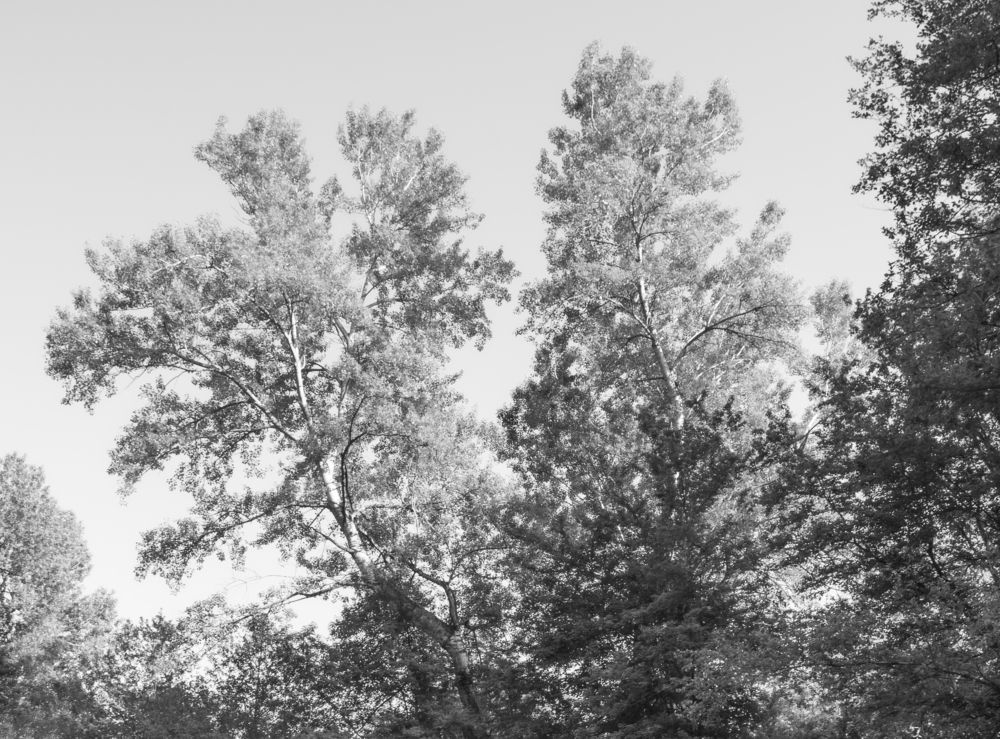 Photograph by Антон Литвин