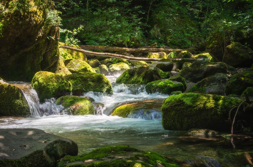 Photograph by Антон Литвин