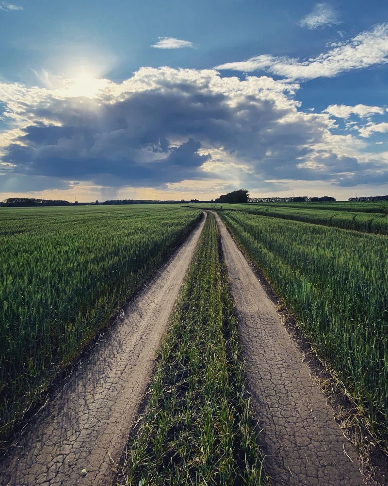 Photograph by Елена К