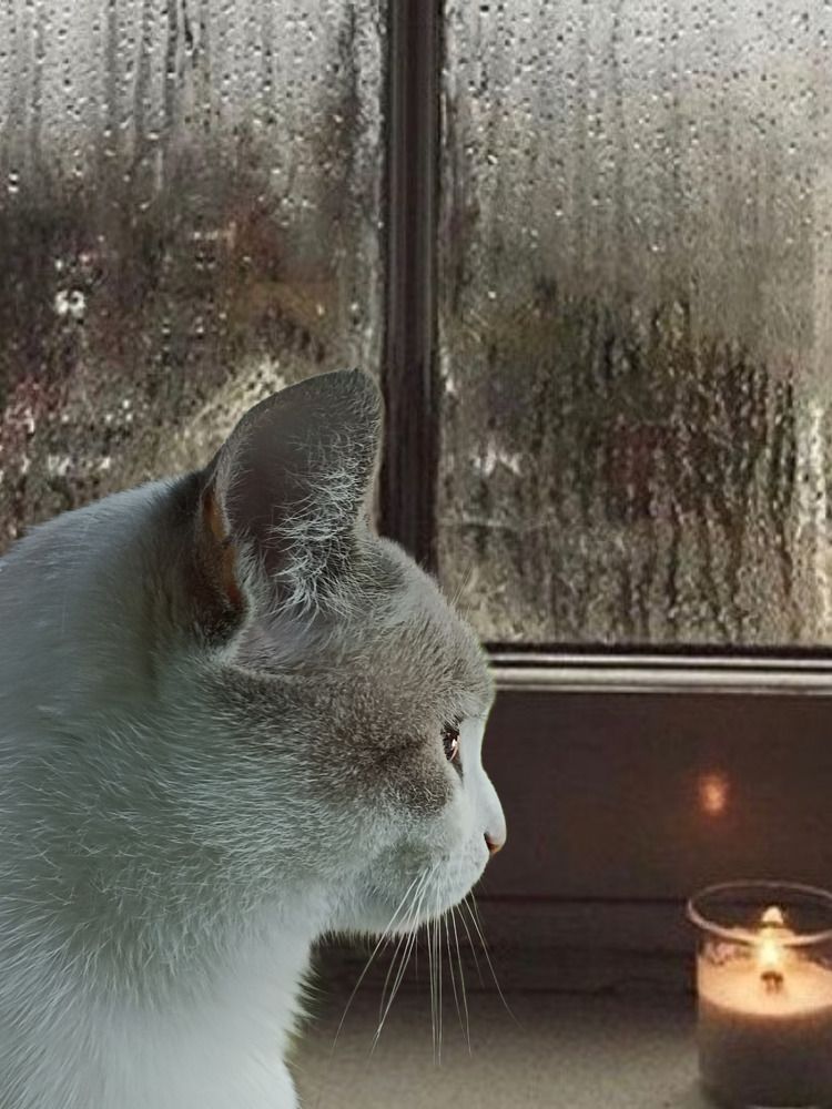 Photograph by Алия Байсыкова