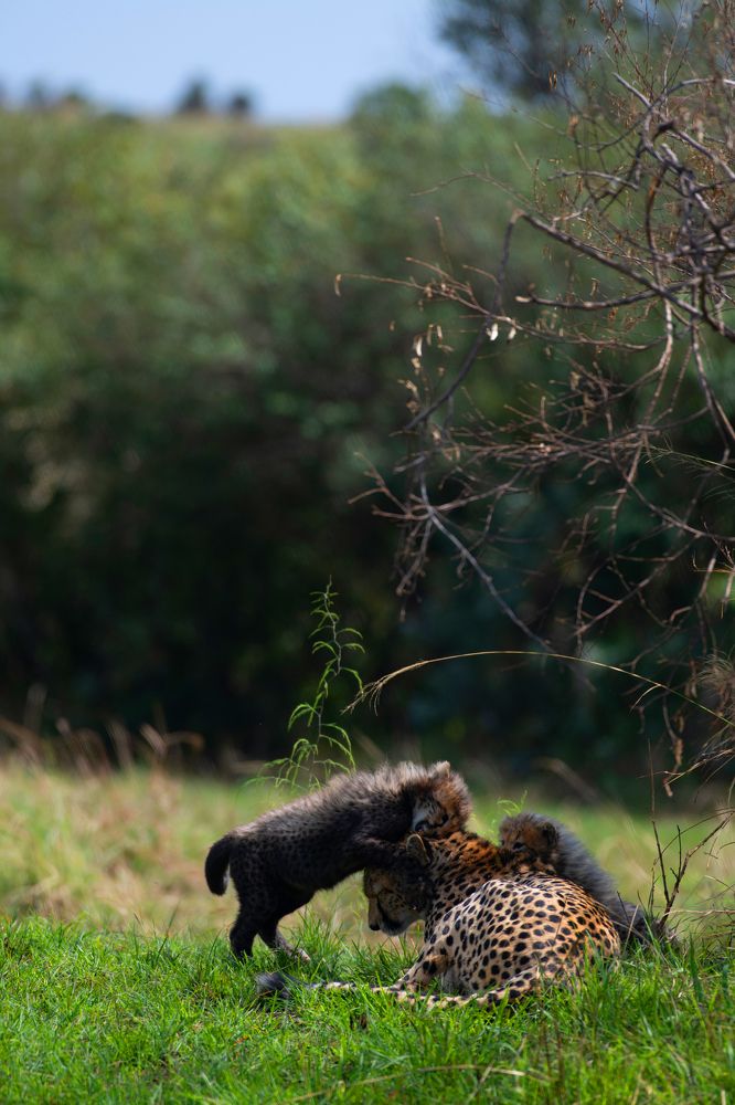 Photograph by Vaisakh U S