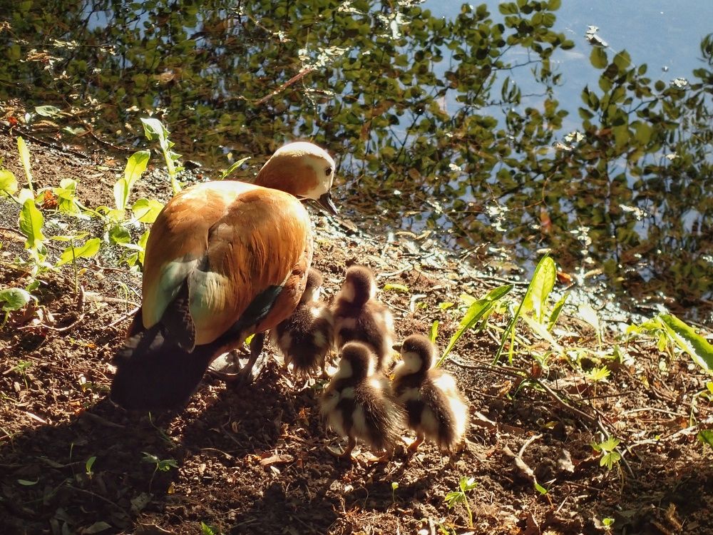 Photograph by Алина Эбель