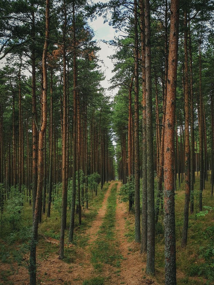 Photograph by Татьяна Лышенко