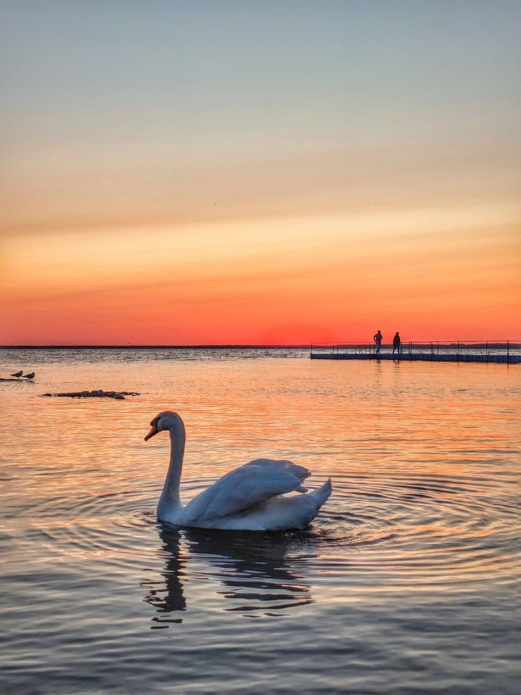 Photograph by Владимир Шаруба