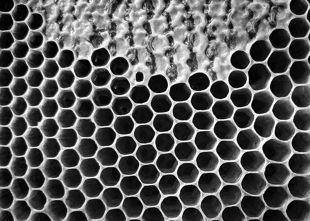 Фотография автора Кристина Догодька