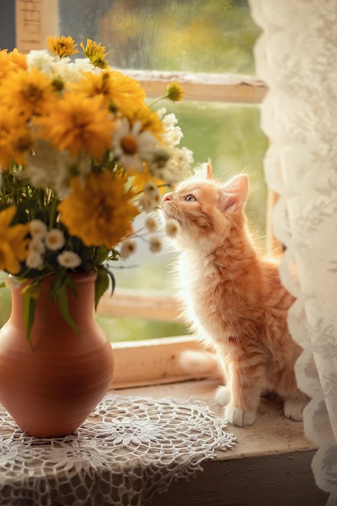 Photograph by Елена Косинова