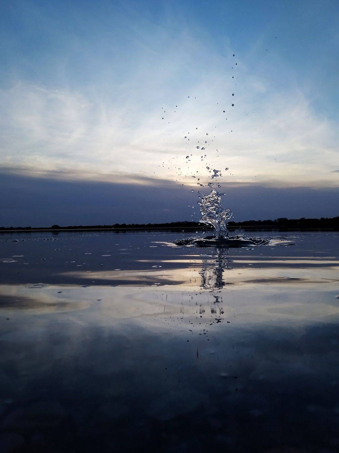 Photo #9410752