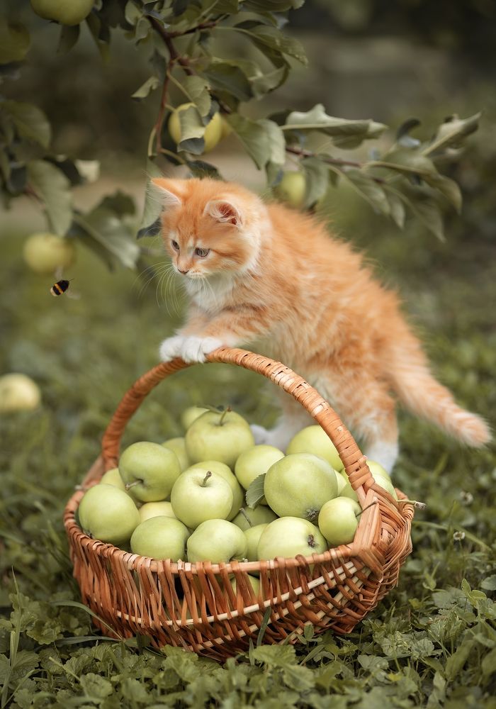 Photograph by Елена Косинова