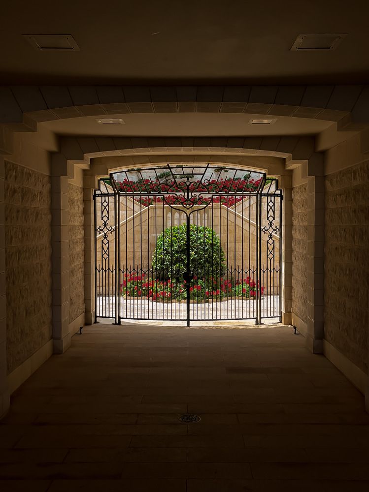 Фотография автора Виктория Калганова